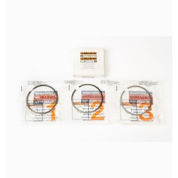 SEGMENT SERIES +1.00