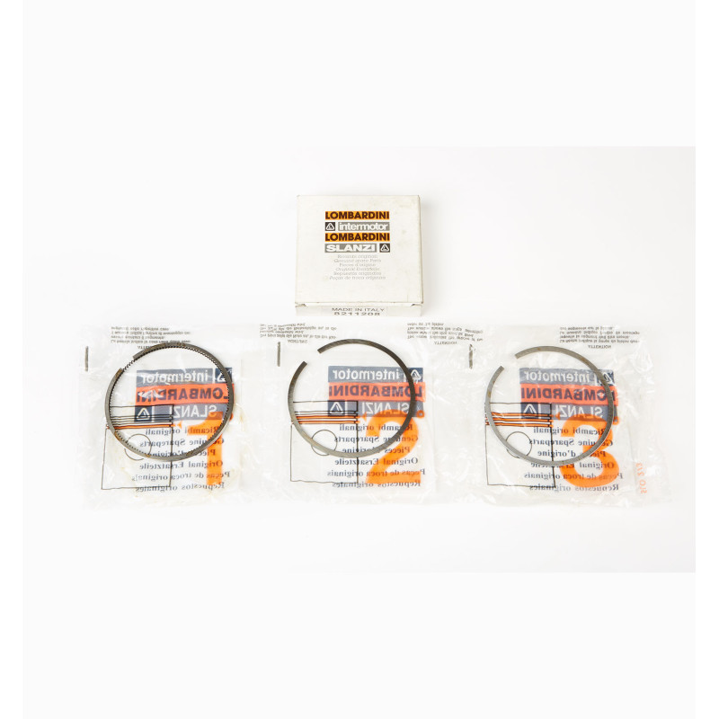 SEGMENT SERIES +1.00