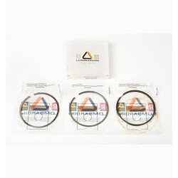 SEGMENT SERIES +0.5 LOMBARDINI RUGGERINI RD290