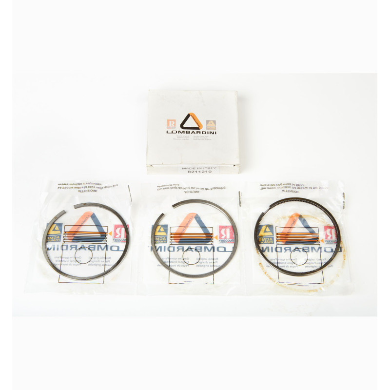 SERIE SEGMENTOS +0.5 LOMBARDINI RUGGERINI RD290