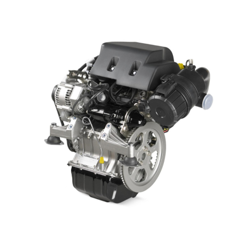 Engine Lombardini LDW 492