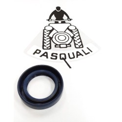 Tractor Pasquali Reten Dirección 7789