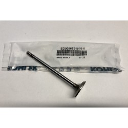 Intake valve