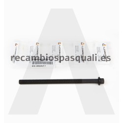 Pasquali 15LD Lombardini Screw