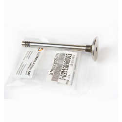EXHAUST VALVE