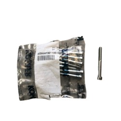 Tornillo 6x60 LDW
