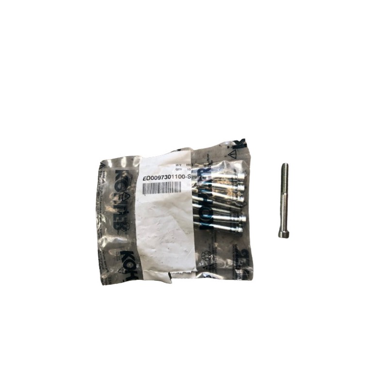 Tornillo 6x60 LDW