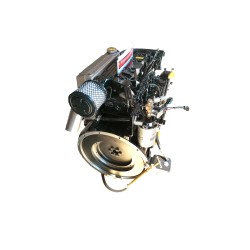Engine Lombardini Marine LDW 2204 MG for Generators