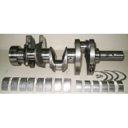 Crankshaft engine Lombardini LDW 1003