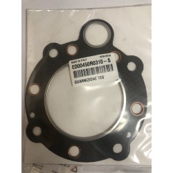 Gasket cylinder head Minsel RM80