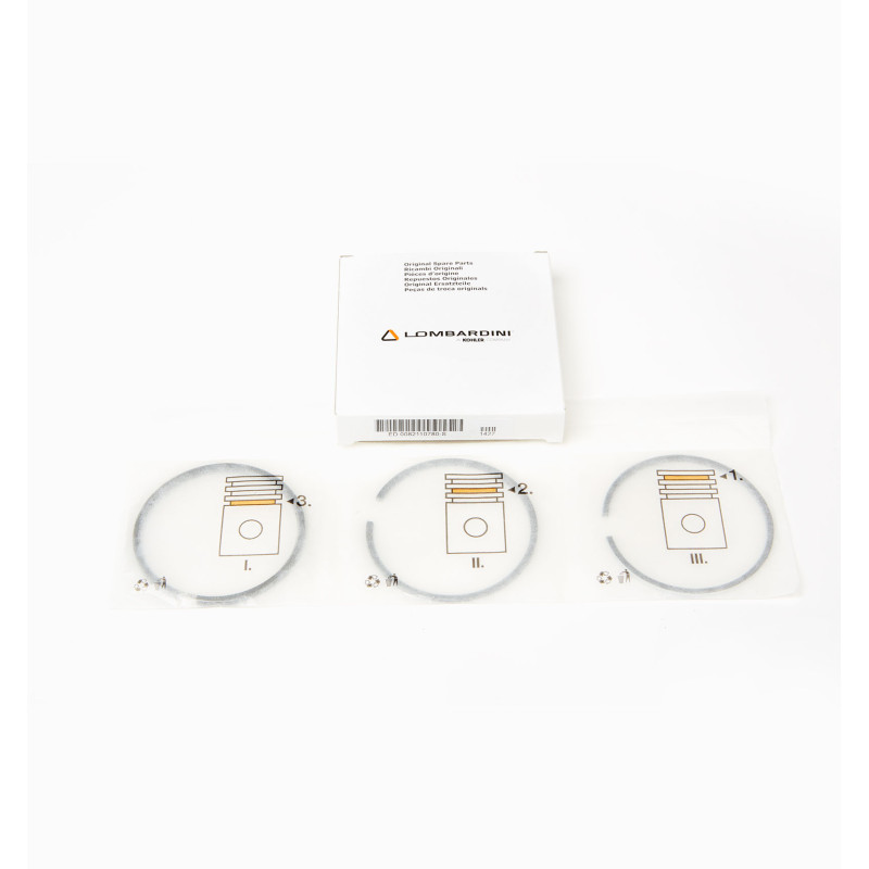 SERIE SEGMENTOS 6LD STD.