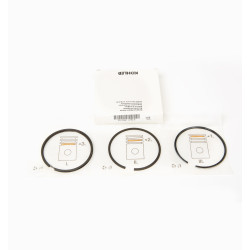 SERIE SEGMENTOS 0.50