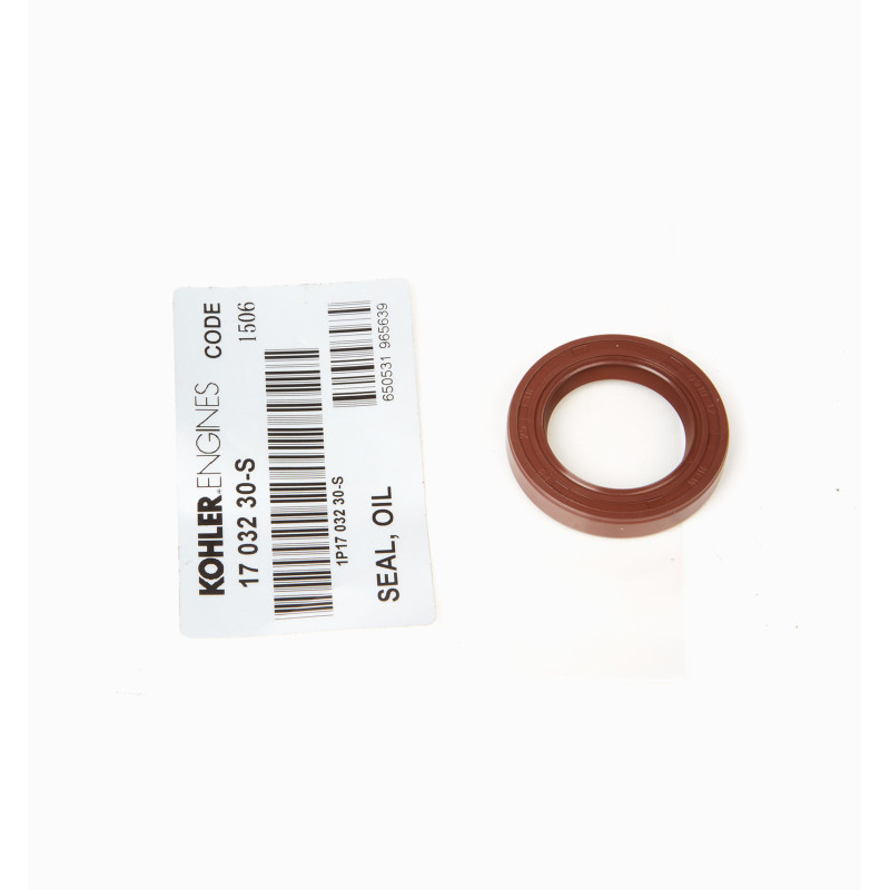 CRANKSHAFT RETAINER CH270 KOHLER