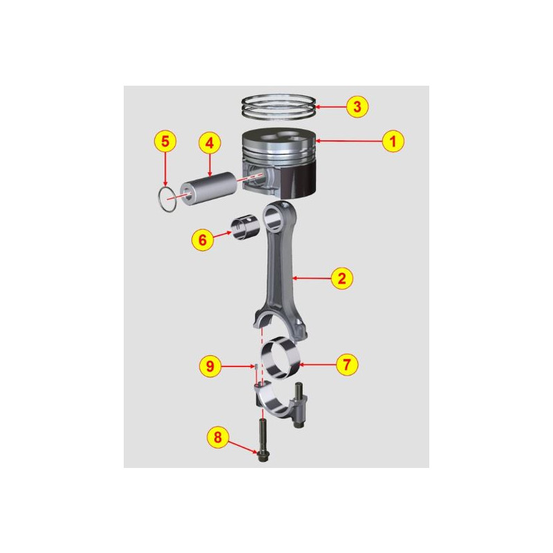 LDW502 E4 Segment Set