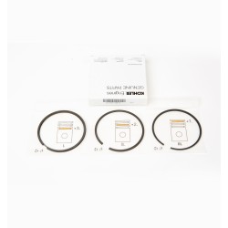 SERIE SEGMENTOS STD 6LD