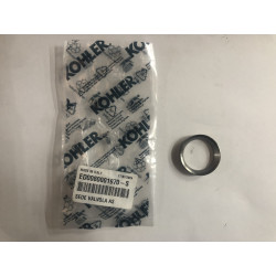 Intake Valve Seat LDW1003-1404