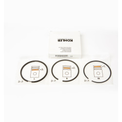 SERIE SEGMENTOS 0.50 6LD