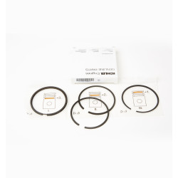 SERIE SEGMENTOS STD.