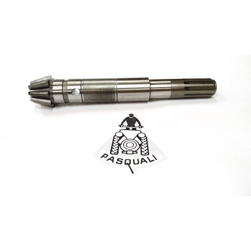 Shaft with Pinion Pasquali