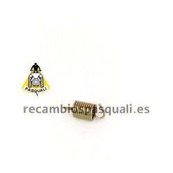 Pasquali Tractor Thrust Bearing Spring