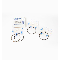 KOHLER CH395 STD JEU DE SEGMENTS