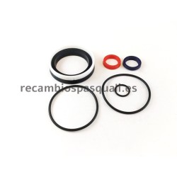 Spare Pasquali Hydraulic Bottle Repair Kit