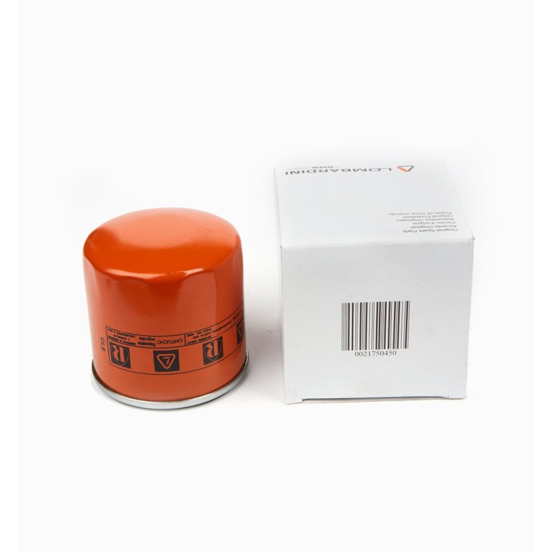 Lombardini Diesel Filter 6LD