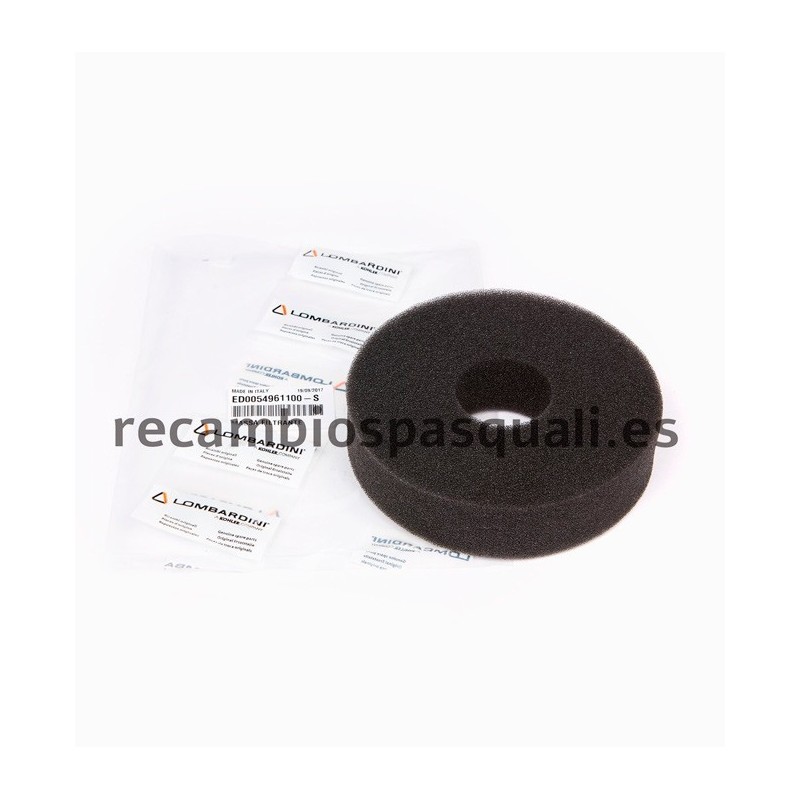 Pasquali Lombardini Filter Foam Motor