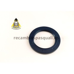 Pasquali Tractor Mechanical Steering Repair Kit