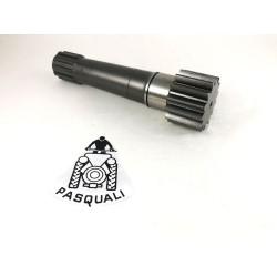 Pasquali Semi Axis 14Z