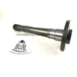 Shaft End Stria Tractor Pasquali