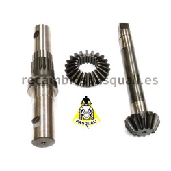 Kit Crown - Pinion and Central shaft 913/917 Pasquali