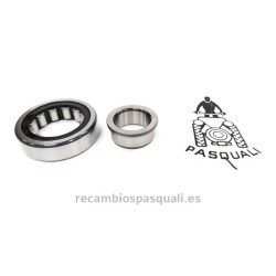 Pasquali Tractor Bearing