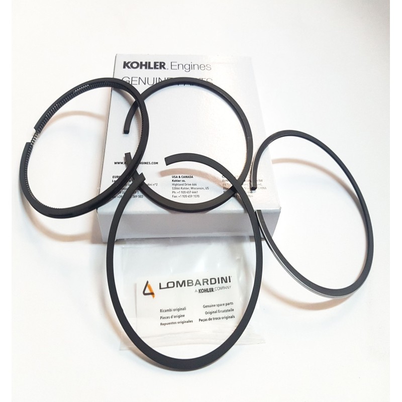 Segments Lombardini 3LD 510