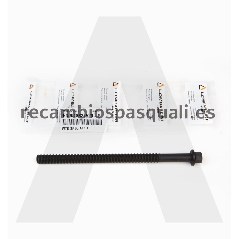 Pasquali 15LD Lombardini Screw