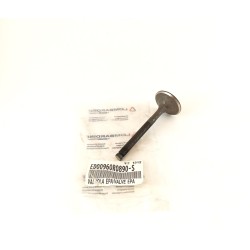 Exhaust Valve Minsel Ruggerini MD