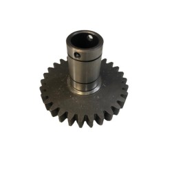 PIÑON PASQUALI TOMA FUERZA 29 DIENTES