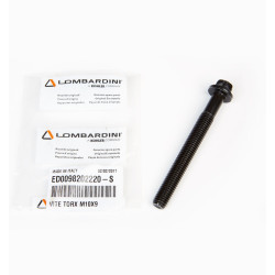LDW Lombardini Screw