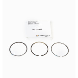 Segment Series 0.5 Lombardini LDW