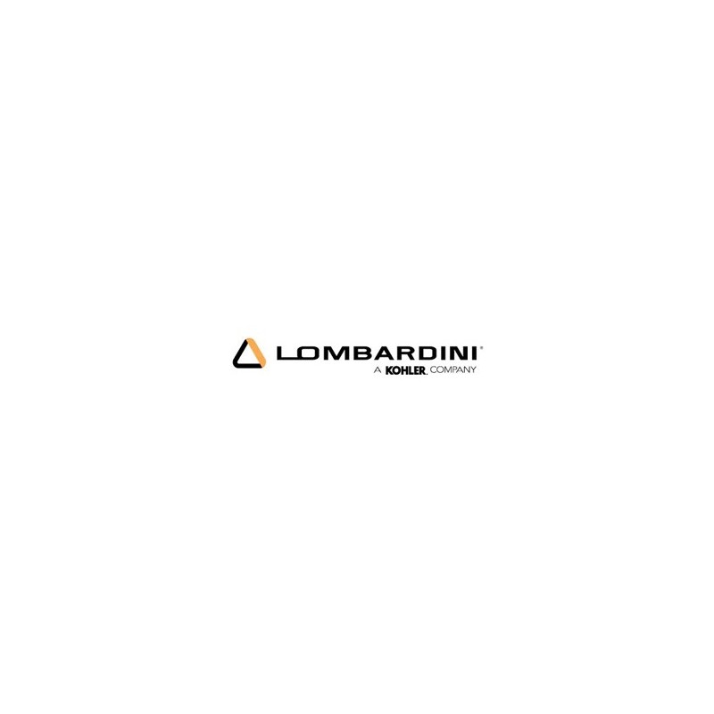Junta Filtro Aire Lombardini 4LD