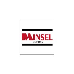 Motor Gasolina Minsel M165 G