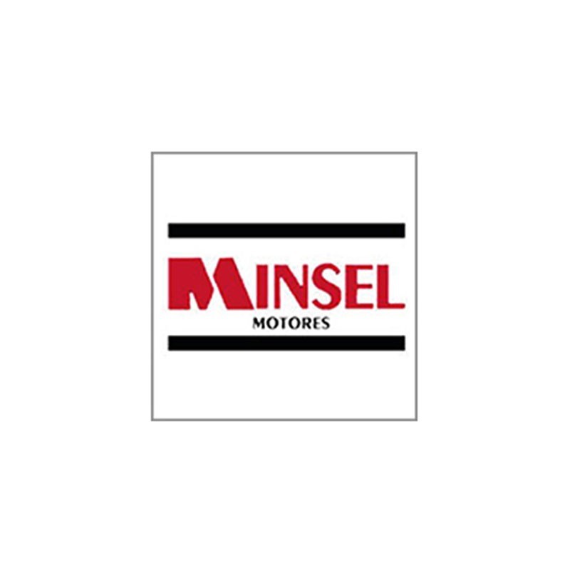 Motor Gasolina Minsel M165 G