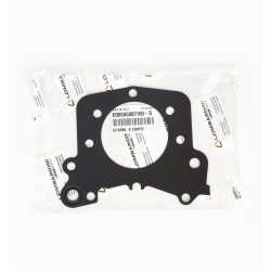 Gasket Lombardini LDW 502 Water Pump