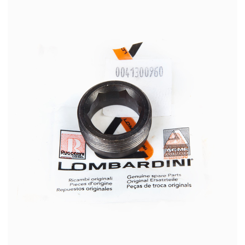 Tuerca Lombardini LDW