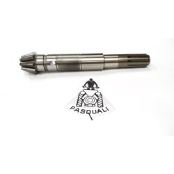 Essieu avec pignon Pasquali