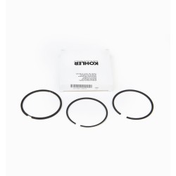 SERIES SEGMENTS 1.00 LOMBARDINI 15LD