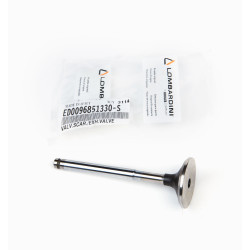 15LD EXHAUST LOMBARDINI VALVE