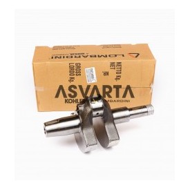 Recambios Motor Ruggerini y Repuestos Originales | Asvarta