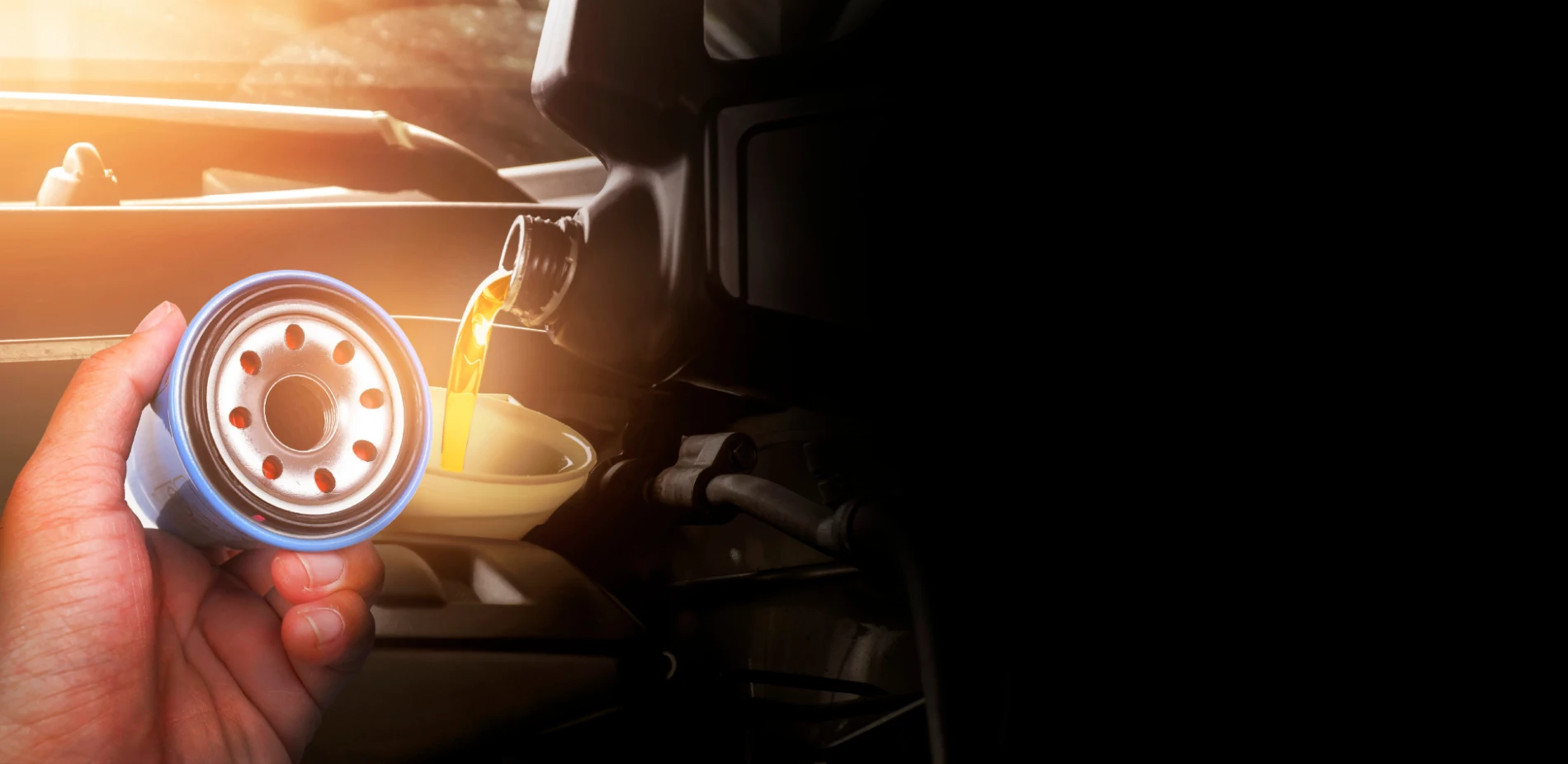 Te ayudamos a tomar la mejor decisión